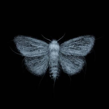 Natasha - EP: Phantom Pain