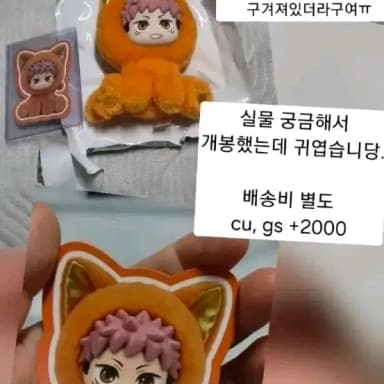 주술회전 이타도리 유지 캣이어