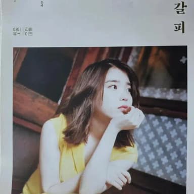 포스터2장 아이유 꽃갈피 하나 & 스무살의 봄 포스터 세트