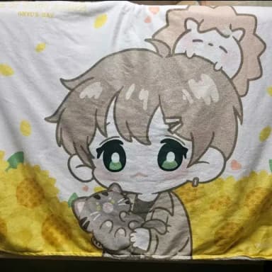 [판매글] 리레볼루션 오뉴 SD 담요