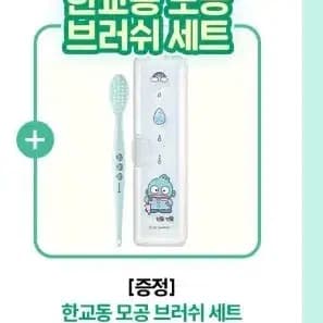 올리브영 산리오 한율 한교동 모공 브러쉬 세트