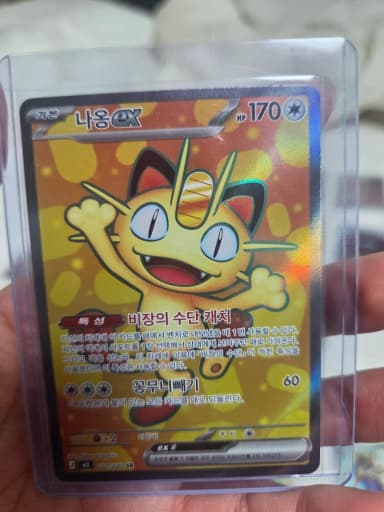 Pokemon Card Naong EX 100/080 SR