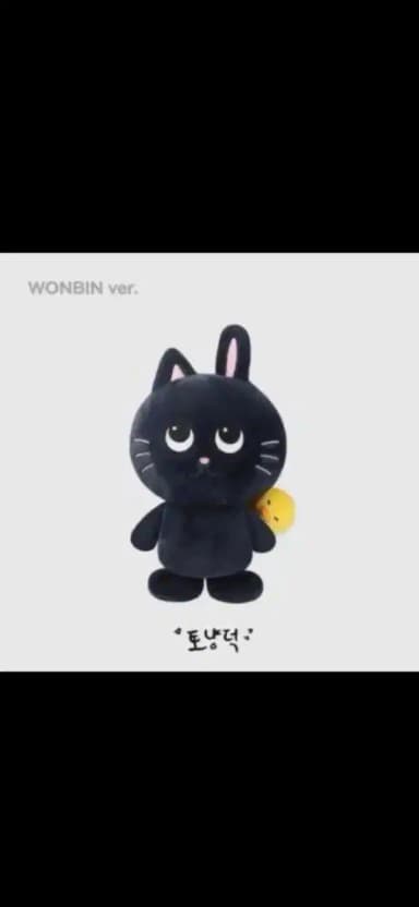 Riize 40cm Wonbin Toyangduck Doll