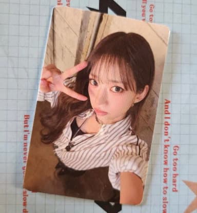 Miyao Suin Gohard Broadcast Poca