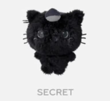 Secretkuri