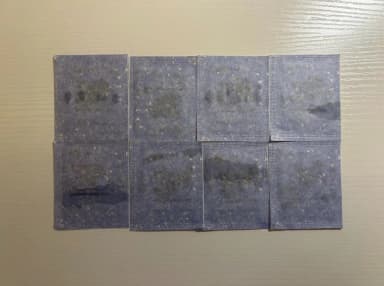 [Quick Sale] Pokemon 30th Anniversary Logo Wrist Seal