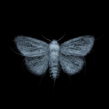 Natasha - EP Album [Phantom Pain]