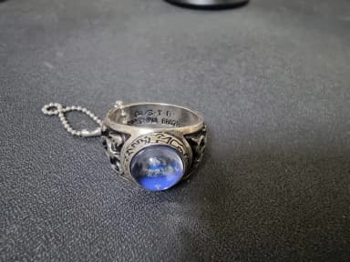 Jeibokwon Home Tutor Hitman Reborn F Premium Ring