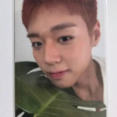 박지훈 리플렉트 뮤직뱅크 뮤뱅 공방 포카
