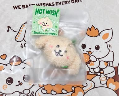 Sealed Dantreiber Fan Light Face Keyring Jaehee NCT Wish NCTwish MD