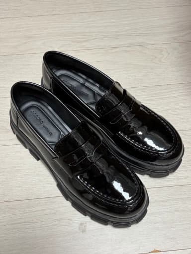 Glossy Loafers