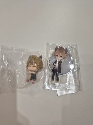 Twisted Ragi Korotto, Hug Coat Gacha