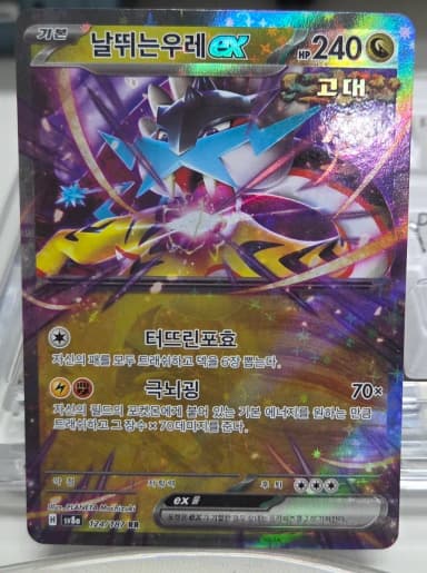 Pokemon Card Flying Thunder EX