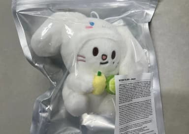 Stray Kids SKZ SKZOO Sanrio Genie